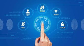 大數據智能營銷拓客系統 軟件研發與銷售的綜合評估